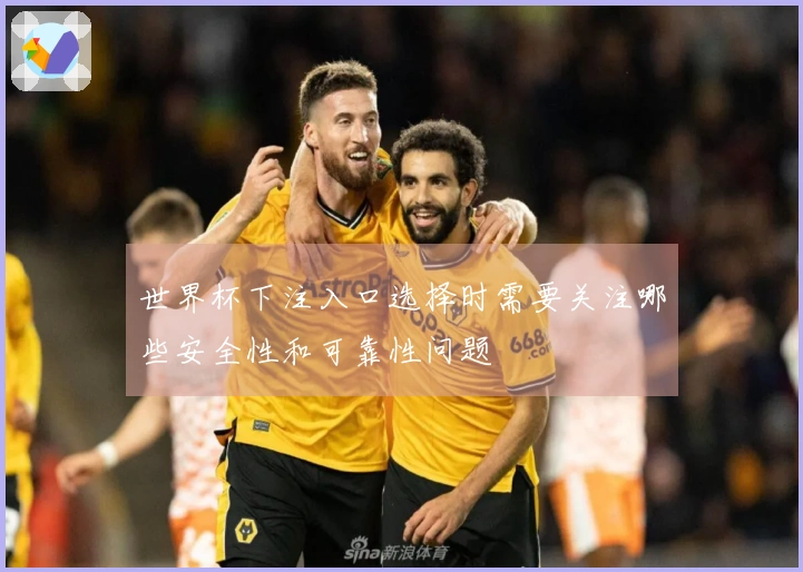 世界杯下注入口选择时需要关注哪些安全性和可靠性问题