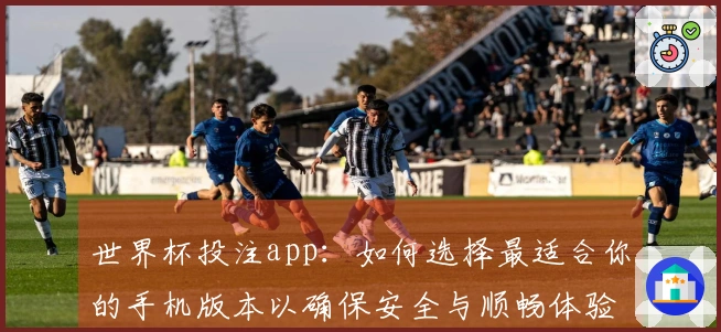 世界杯投注app：如何选择最适合你的手机版本以确保安全与顺畅体验
