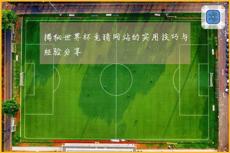 揭秘世界杯竞猜网站的实用技巧与经验分享