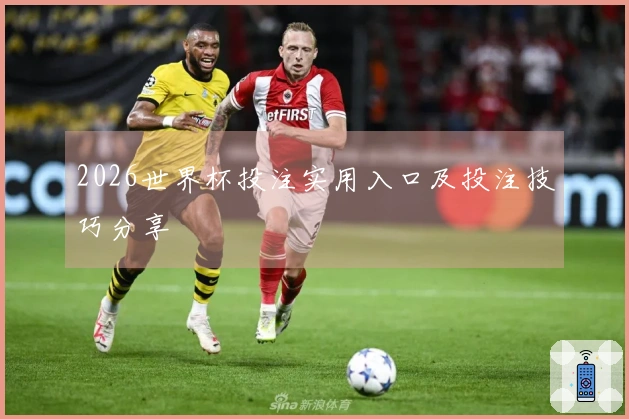 2026世界杯投注实用入口及投注技巧分享