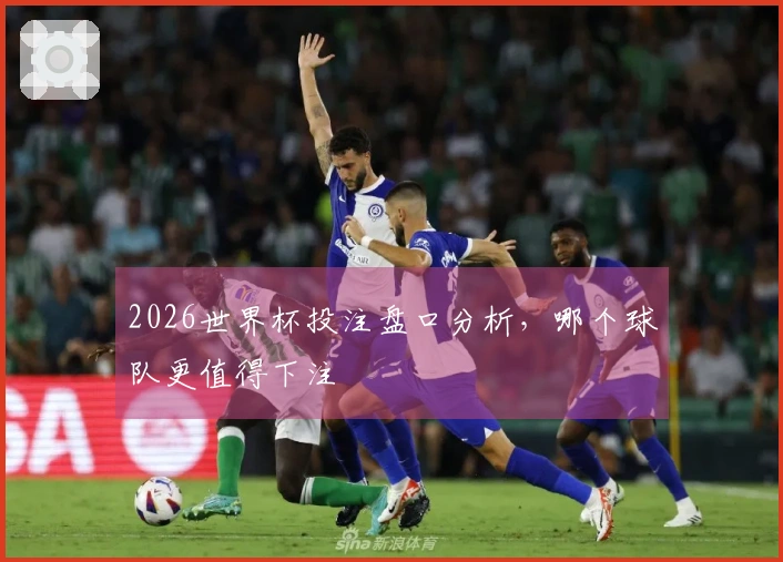 2026世界杯投注盘口分析，哪个球队更值得下注