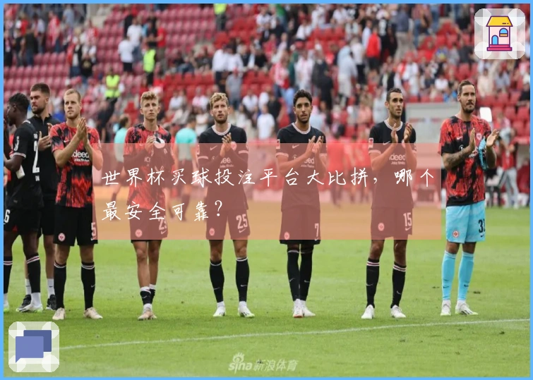 世界杯买球投注平台大比拼，哪个最安全可靠？