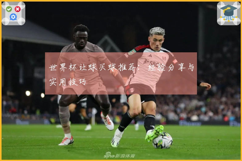 世界杯让球买球推荐：经验分享与实用技巧