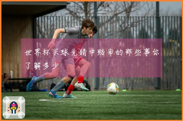 世界杯买球竞猜中赔率的那些事你了解多少