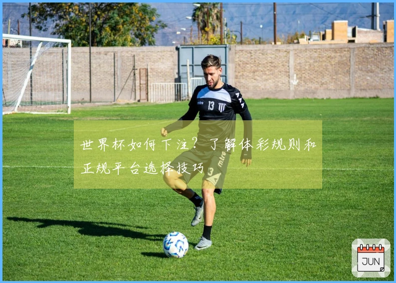 世界杯如何下注？了解体彩规则和正规平台选择技巧