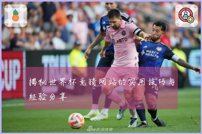 揭秘世界杯竞猜网站的实用技巧与经验分享