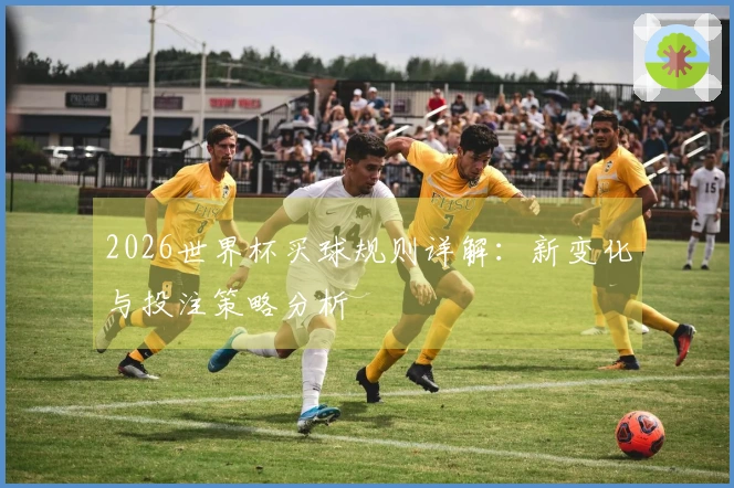 2026世界杯买球规则详解：新变化与投注策略分析