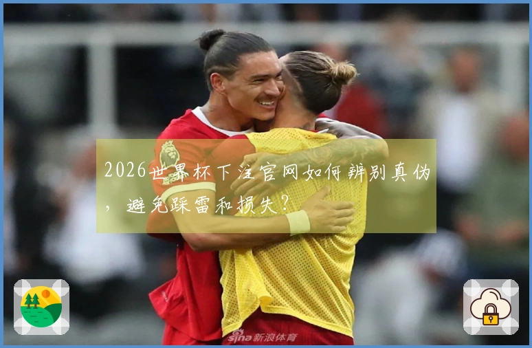 2026世界杯下注官网如何辨别真伪，避免踩雷和损失？