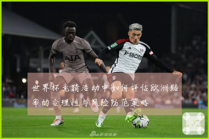 世界杯竞猜活动中如何评估欧洲赔率的合理性与风险防范策略