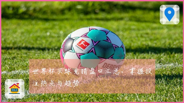 世界杯买球竞猜盘口汇总，掌握投注热点与趋势
