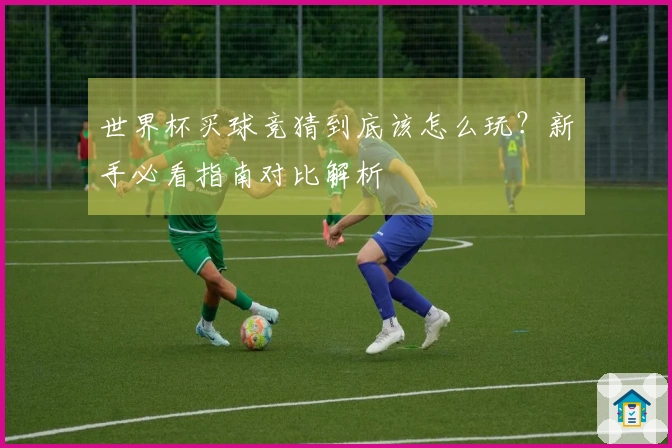 世界杯买球竞猜到底该怎么玩？新手必看指南对比解析
