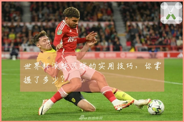 世界杯滚球买球的实用技巧，你掌握了多少？