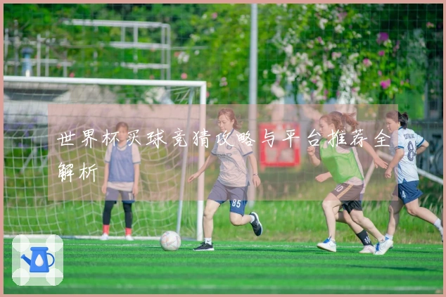 世界杯买球竞猜攻略与平台推荐全解析