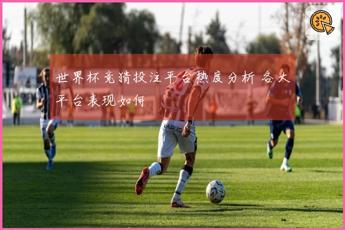 世界杯竞猜投注平台热度分析 各大平台表现如何