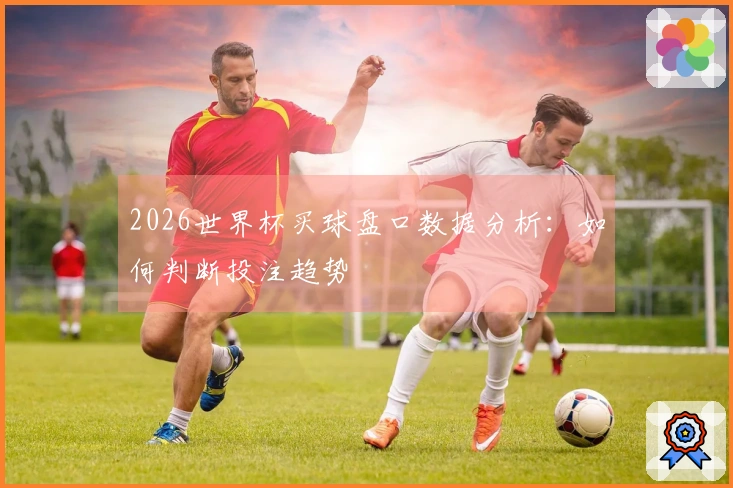 2026世界杯买球盘口数据分析：如何判断投注趋势