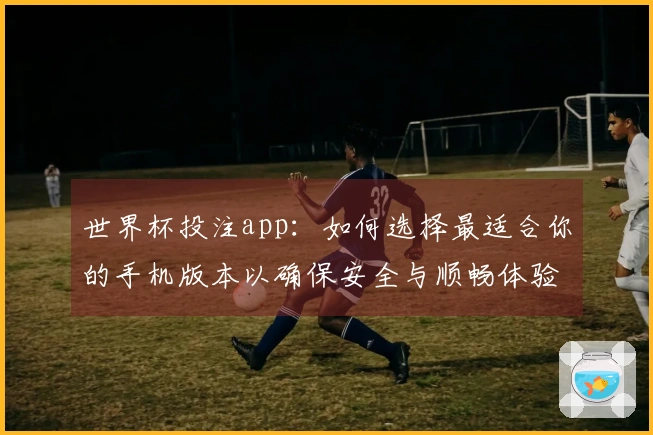 世界杯投注app：如何选择最适合你的手机版本以确保安全与顺畅体验