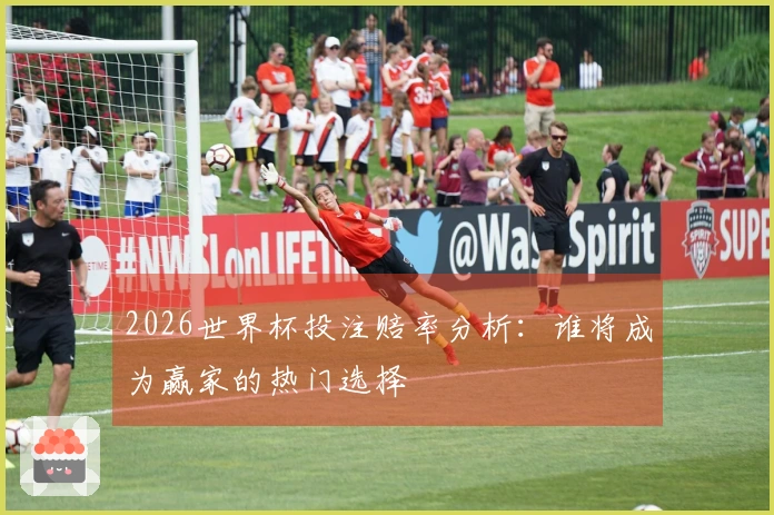 2026世界杯投注赔率分析：谁将成为赢家的热门选择