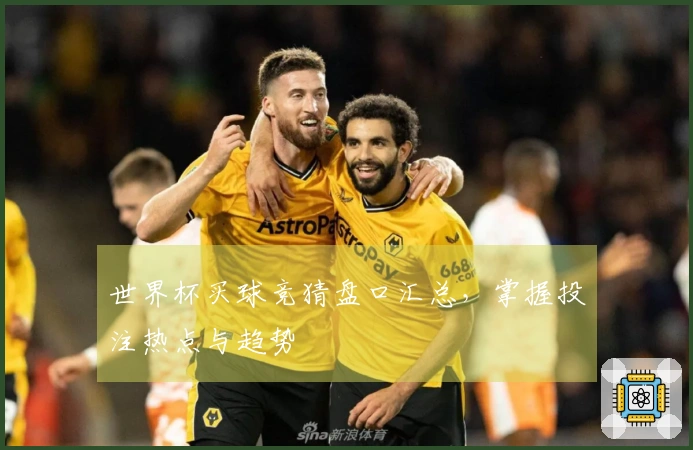 世界杯买球竞猜盘口汇总，掌握投注热点与趋势