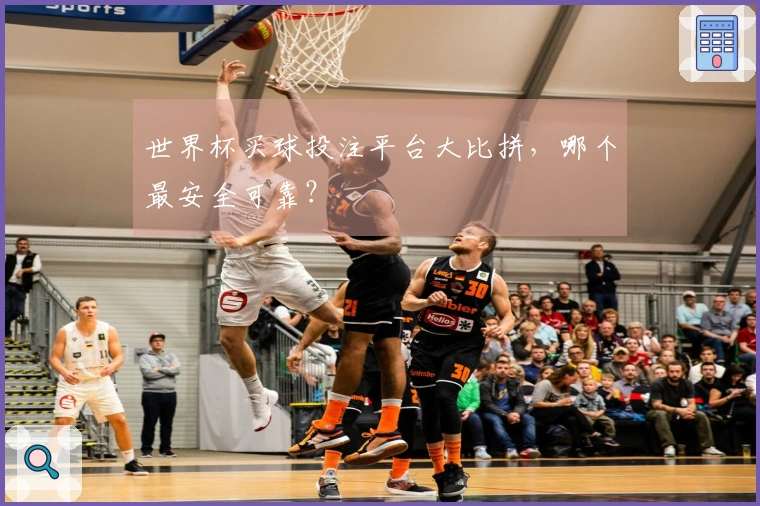 世界杯买球投注平台大比拼，哪个最安全可靠？