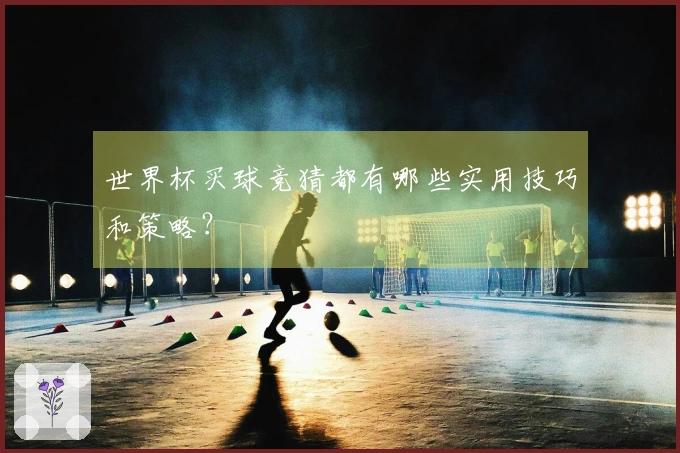 世界杯买球竞猜都有哪些实用技巧和策略？