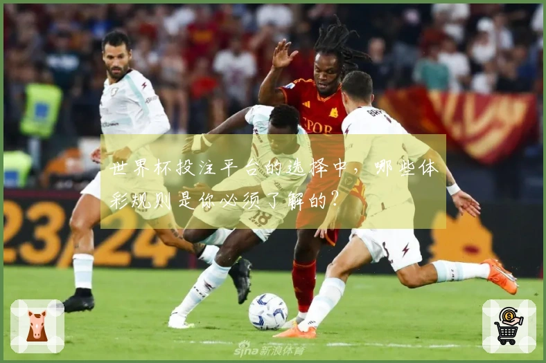 世界杯投注平台的选择中，哪些体彩规则是你必须了解的？