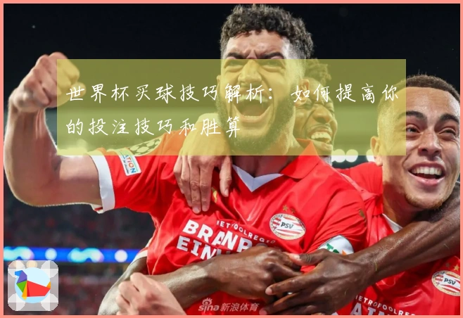 世界杯买球技巧解析：如何提高你的投注技巧和胜算