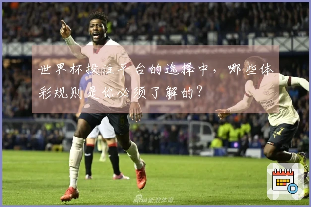 世界杯投注平台的选择中，哪些体彩规则是你必须了解的？