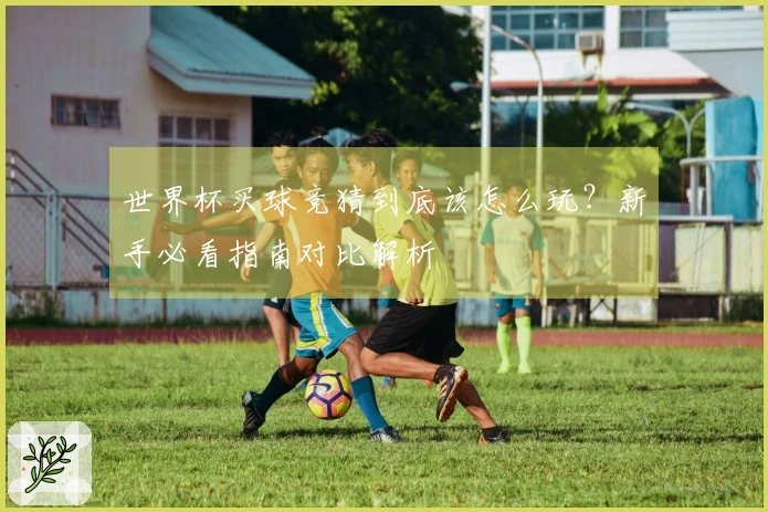 世界杯买球竞猜到底该怎么玩？新手必看指南对比解析