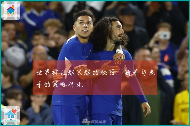 世界杯让球买球的秘密：新手与老手的策略对比
