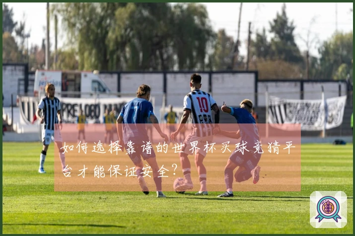 如何选择靠谱的世界杯买球竞猜平台才能保证安全？