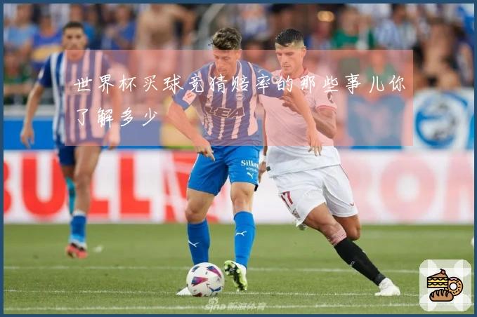 世界杯买球竞猜赔率的那些事儿你了解多少