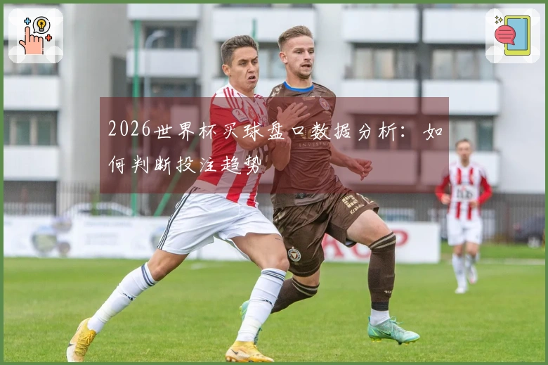 2026世界杯买球盘口数据分析：如何判断投注趋势