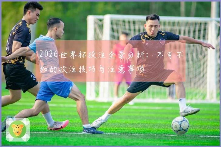 2026世界杯投注全景分析：不可不知的投注技巧与注意事项