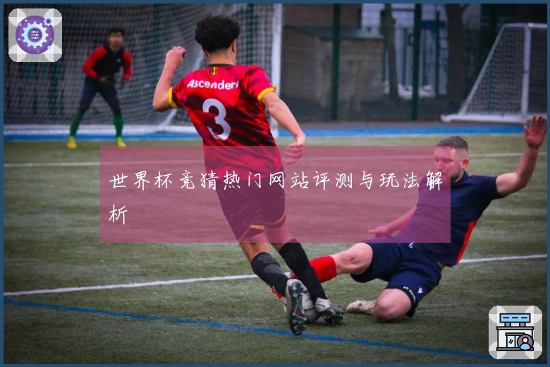 世界杯竞猜热门网站评测与玩法解析