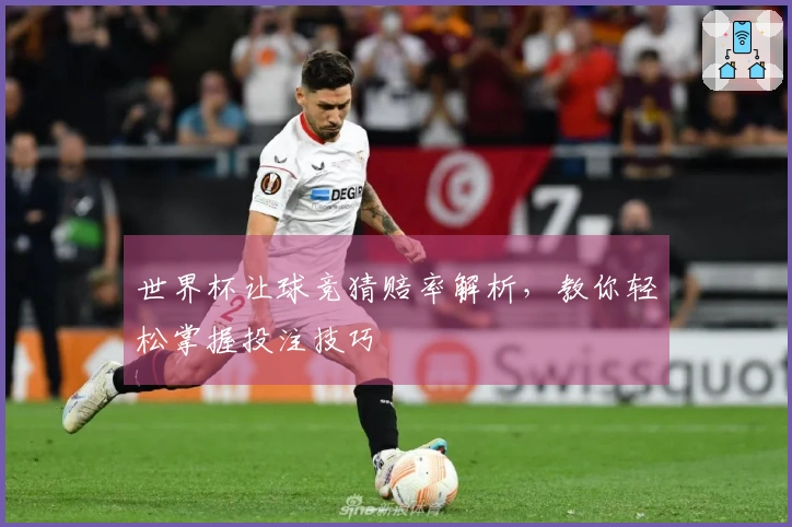 世界杯让球竞猜赔率解析，教你轻松掌握投注技巧